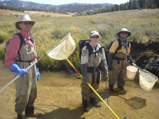 fishing planet colorado farming unique golden trout fishing planet colorado farming unique golden trout